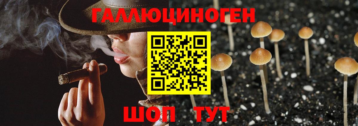 Галлюциногенные грибы ЛСД  Вход с VPN  Буйнакск 